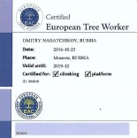 Сертификат ETW